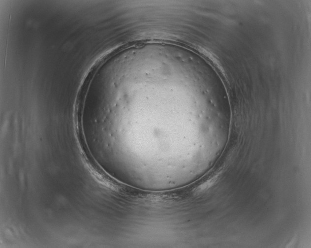 X0000073980987200609111803