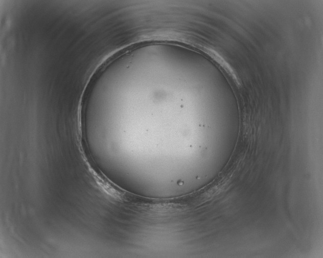 X0000073980988200609111803