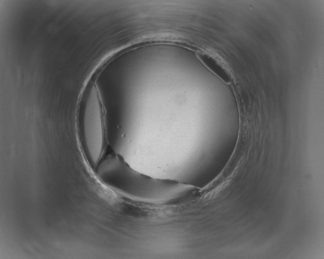 X0000073980989200609111803