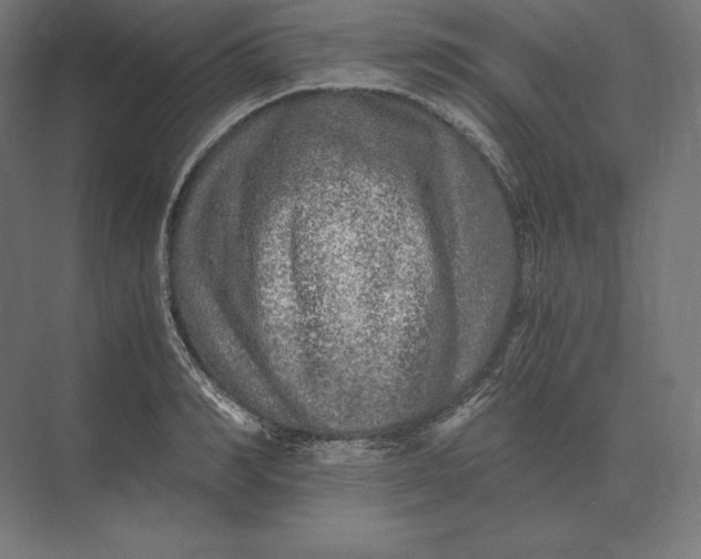 X0000073980990200609111803