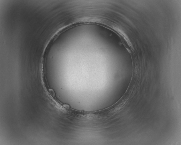 X0000073980992200609111803