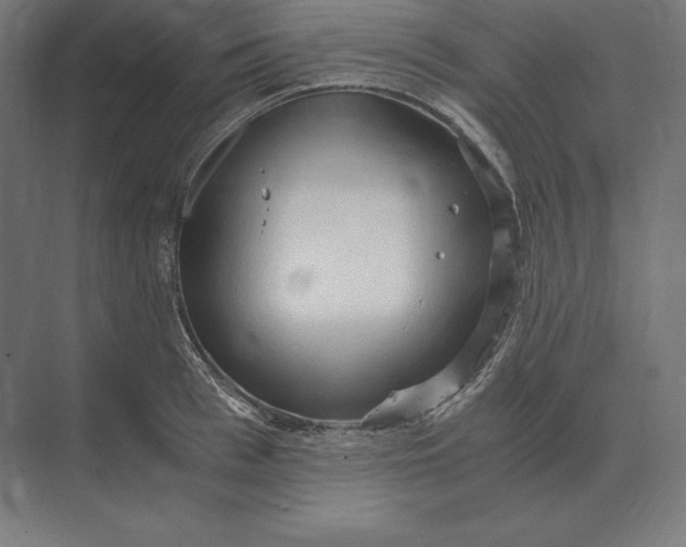 X0000073980993200609111803