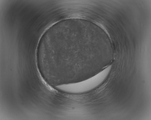 X0000073980995200609111803