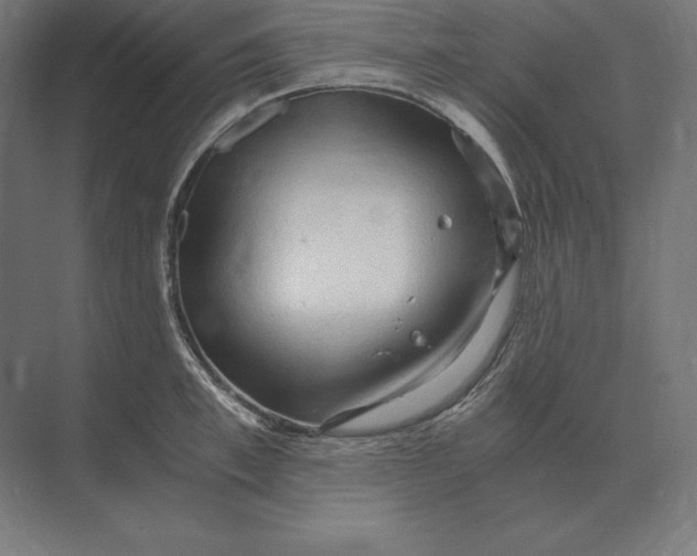 X0000073980997200609111803