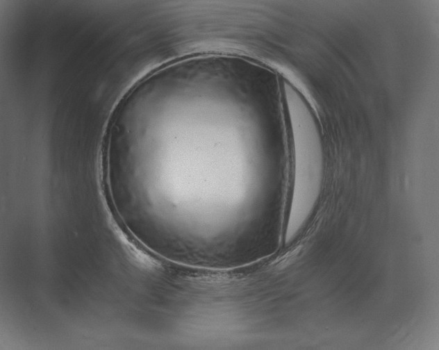 X0000073980999200609111803