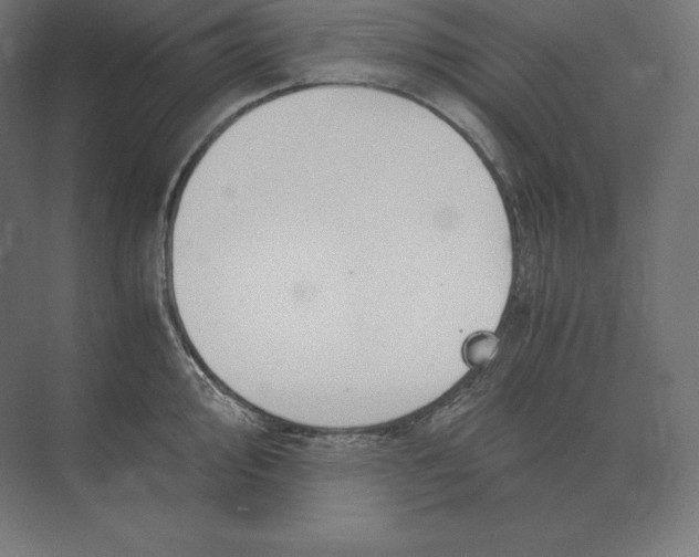 X0000073981000200609111803