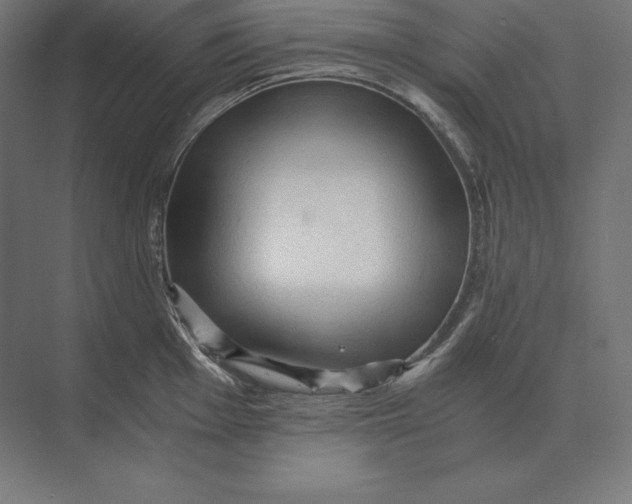 X0000073981001200609111803