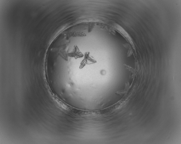 X0000073981002200609111803