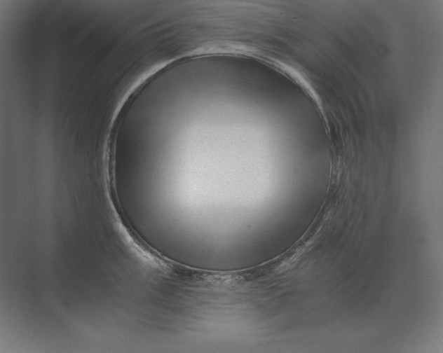 X0000073981003200609111803