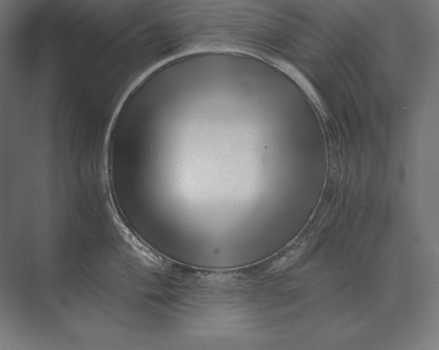 X0000073981004200609111803