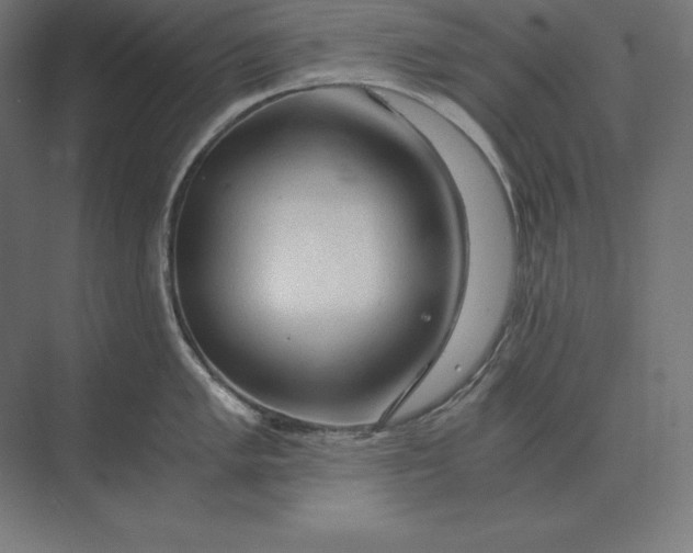 X0000073981005200609111803