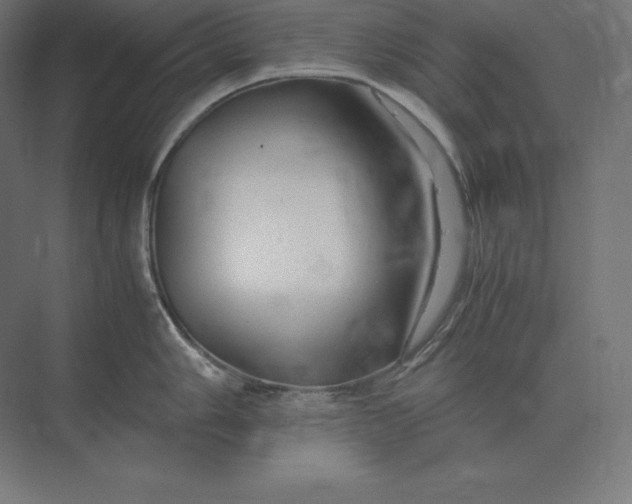 X0000073981006200609111803