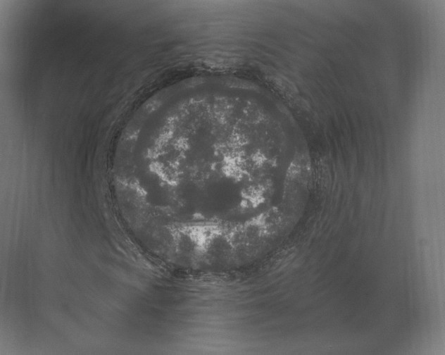 X0000073981009200609111802