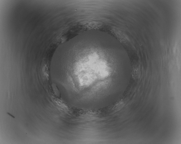 X0000073981010200609111802