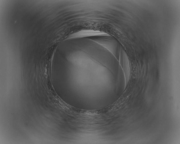 X0000073981013200609111802