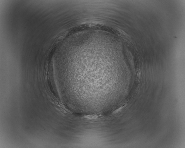 X0000073981014200609111802