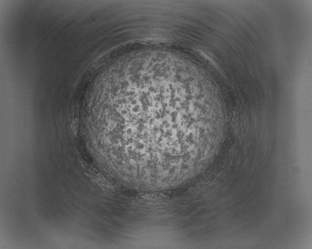 X0000073981015200609111802