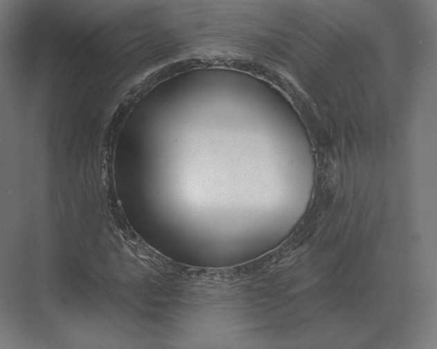 X0000073981016200609111802