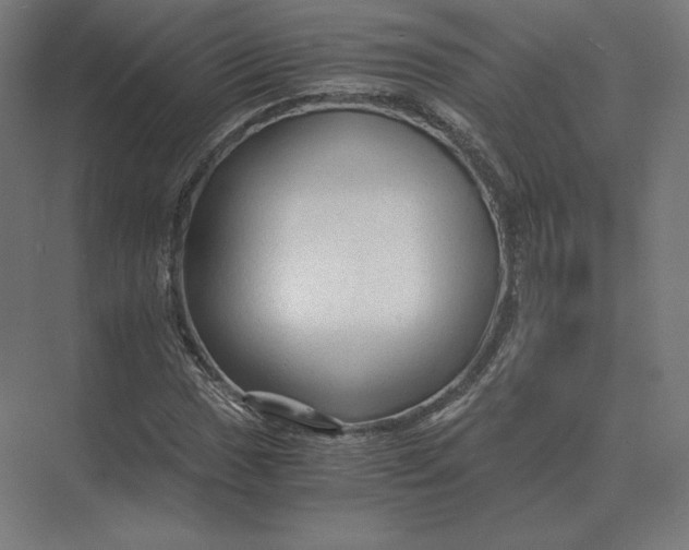 X0000073981017200609111802