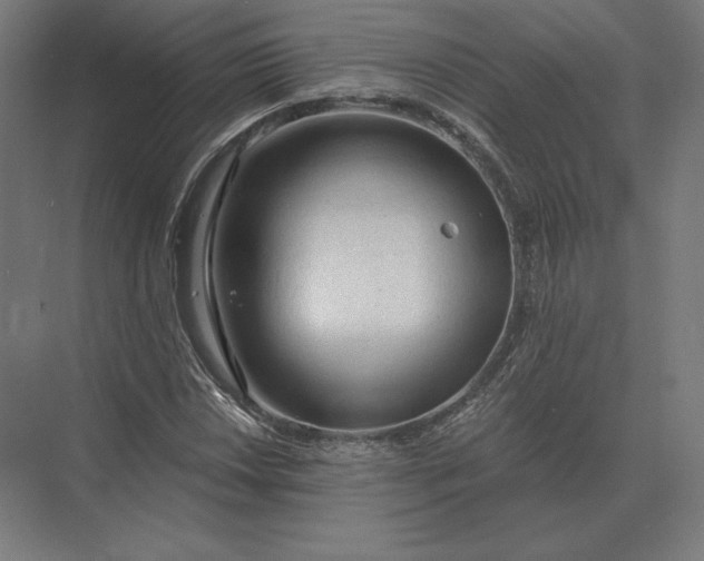 X0000073981018200609111802