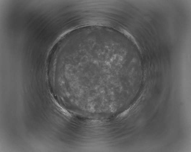 X0000073981019200609111802