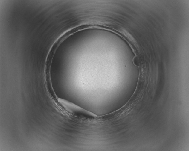 X0000073981020200609111802