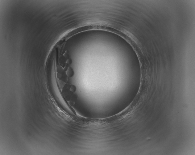 X0000073981022200609111802