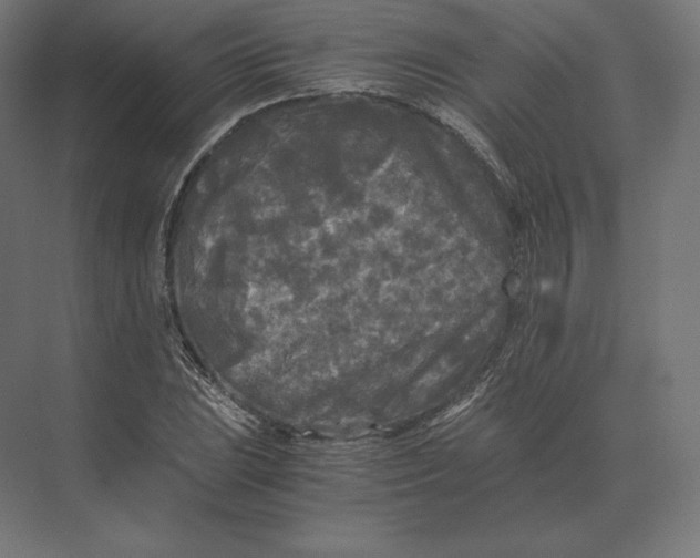 X0000073981023200609111802