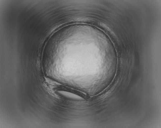 X0000073981025200609111802