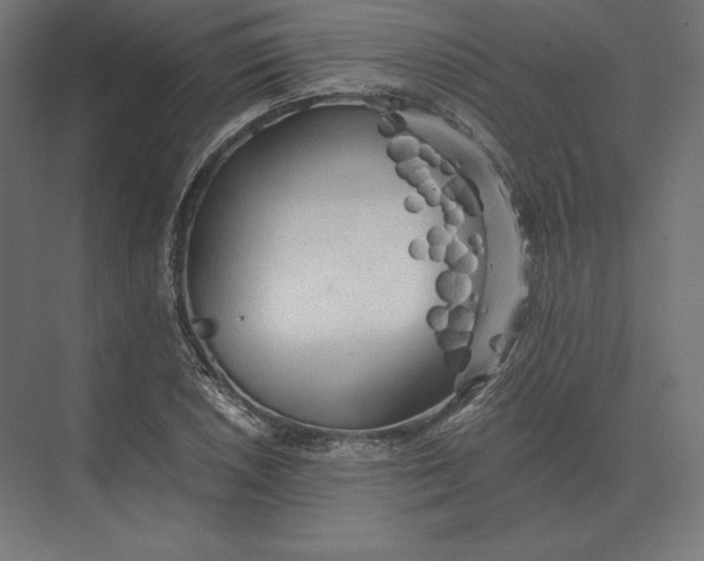 X0000073981026200609111802