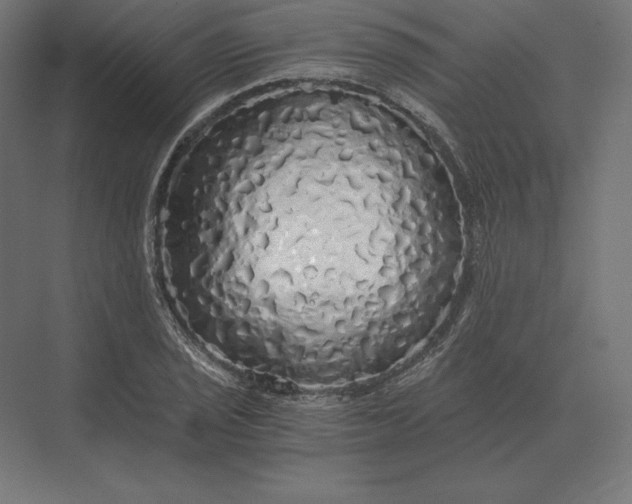 X0000073981029200609111802