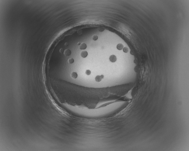 X0000073981030200609111802