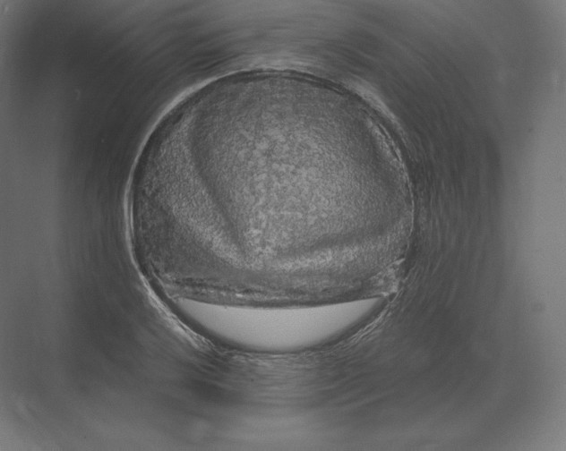 X0000073981032200609111802