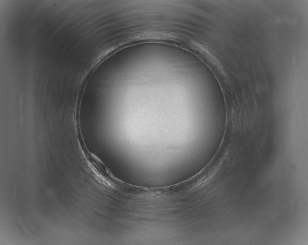 X0000073981033200609111802