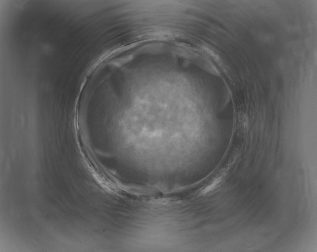 X0000073981034200609111802