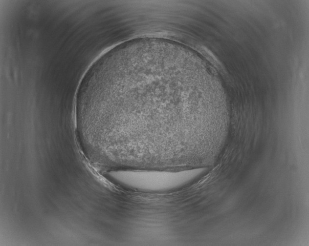 X0000073981036200609111802