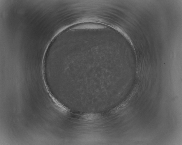 X0000073981037200609111802