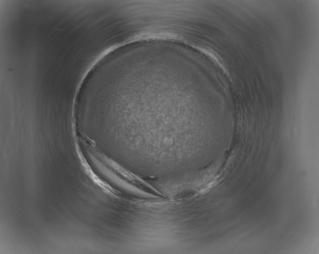 X0000073981038200609111802