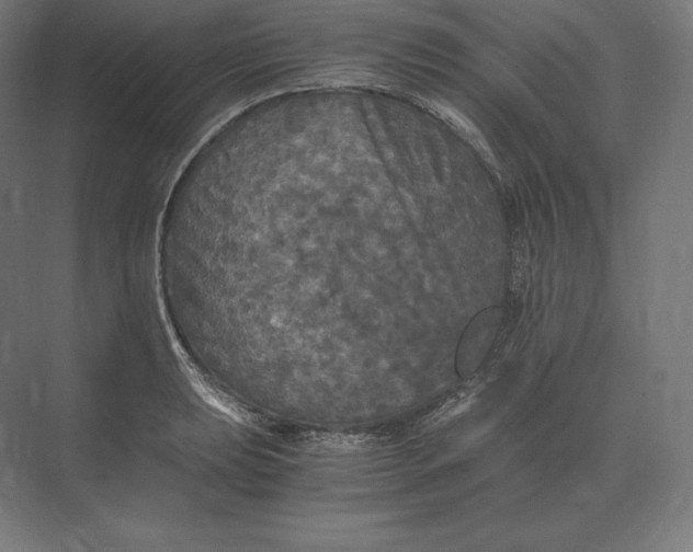 X0000073981039200609111802