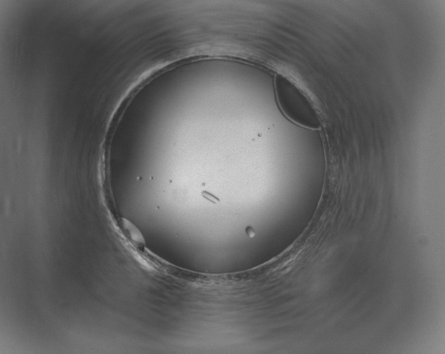 X0000073981040200609111802