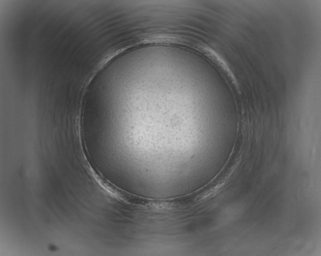 X0000073981041200609111802