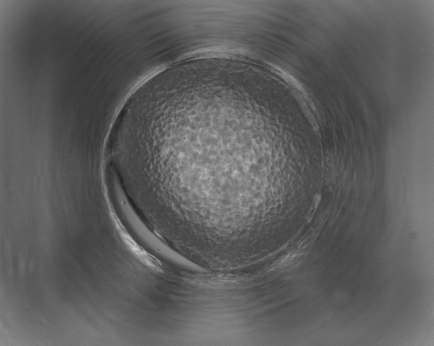 X0000073981042200609111803