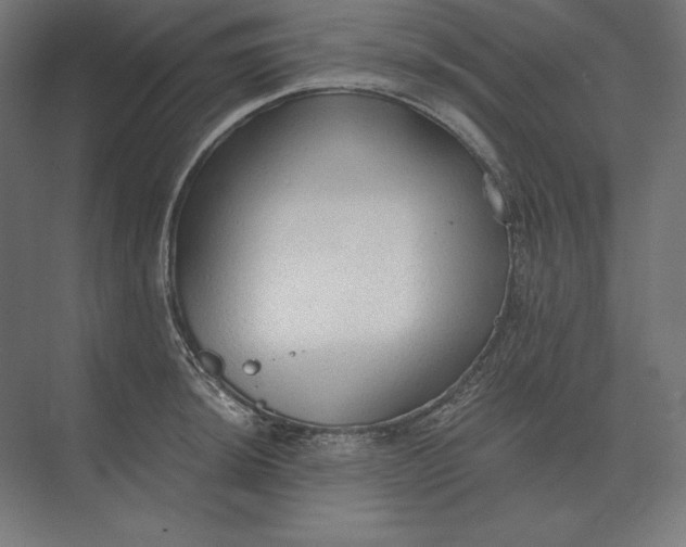 X0000073981044200609111803