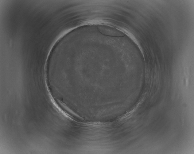 X0000073981045200609111803