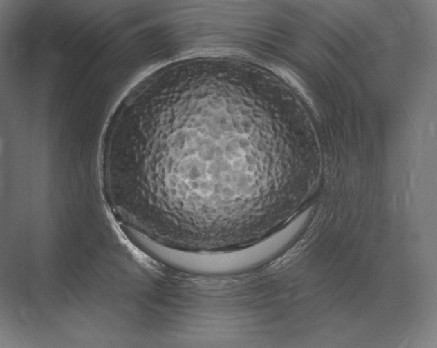 X0000073981046200609111803