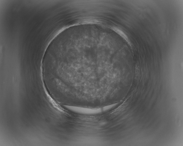 X0000073981047200609111803