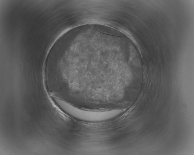 X0000073981048200609111803