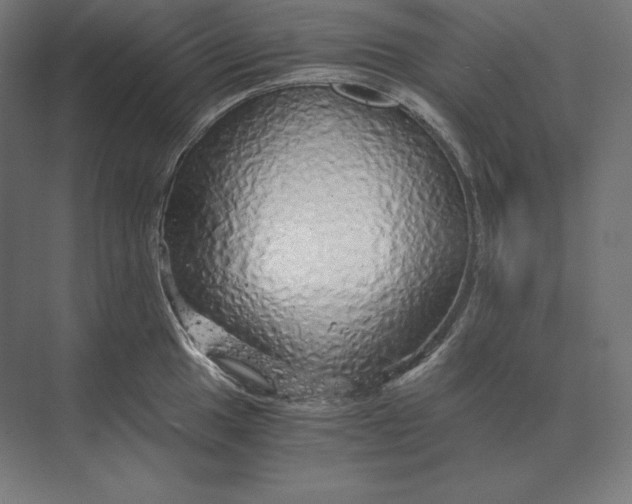 X0000073981049200609111803