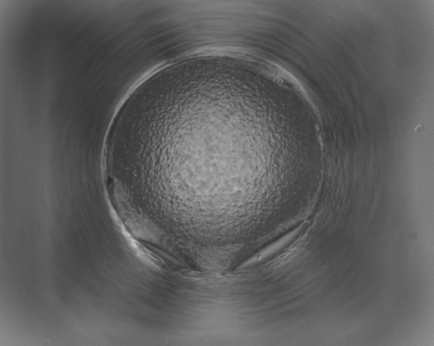 X0000073981050200609111803