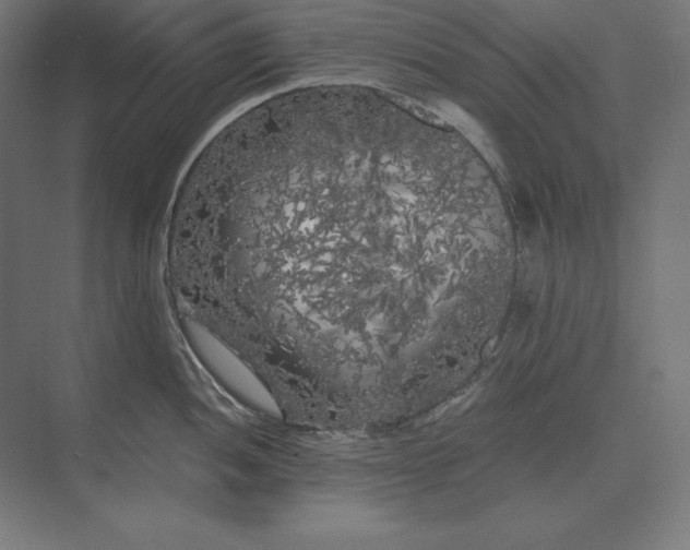 X0000073981052200609111803